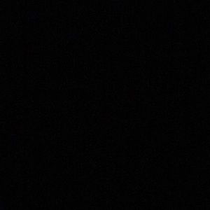 Meet your Posher, Cesar